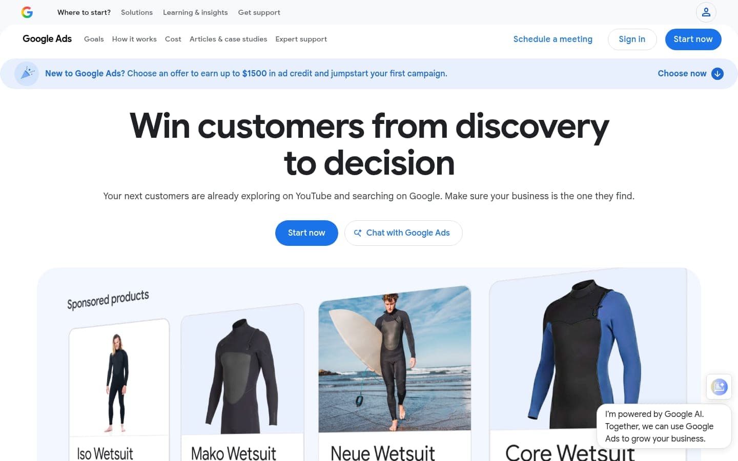 Google Ads search advertising campaign interface